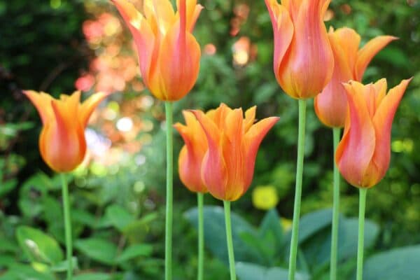 Wardington House Nursing Home photo 6