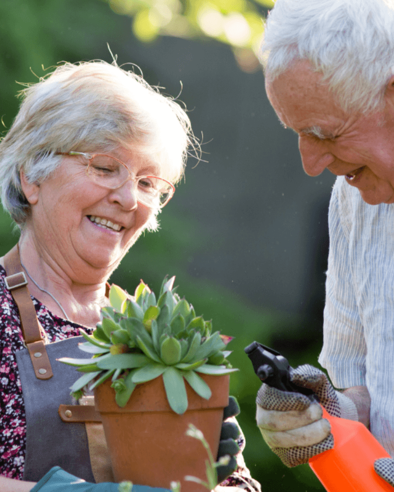 The Broughtons photo 2