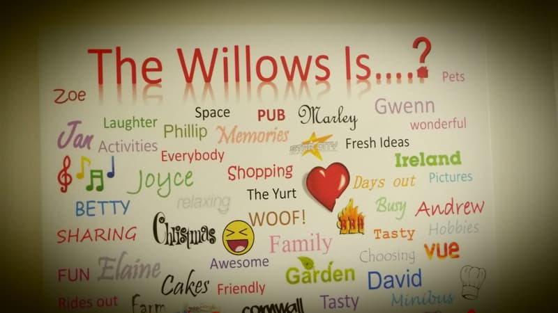 The Willows photo 6