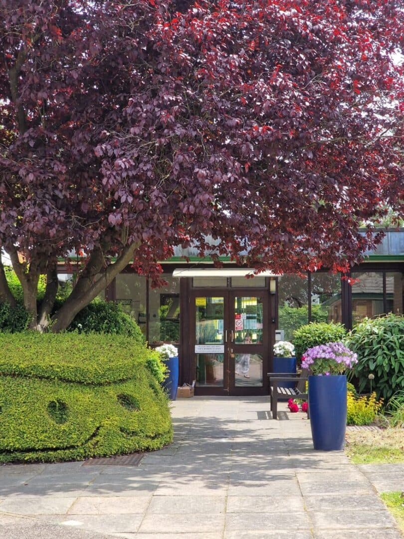 Woking Homes photo 11