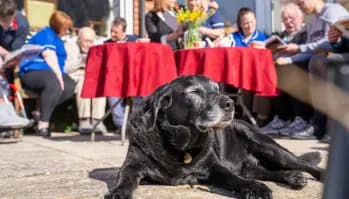 Wolfeton Manor photo 8