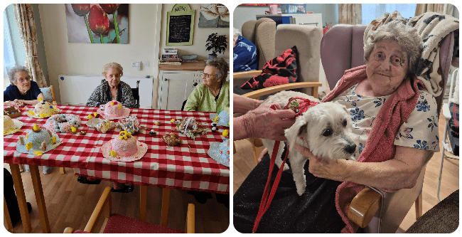 Woodlands Court Care Home photo 2