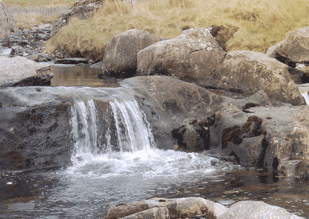 Rapid Review & Resettlement photo 12