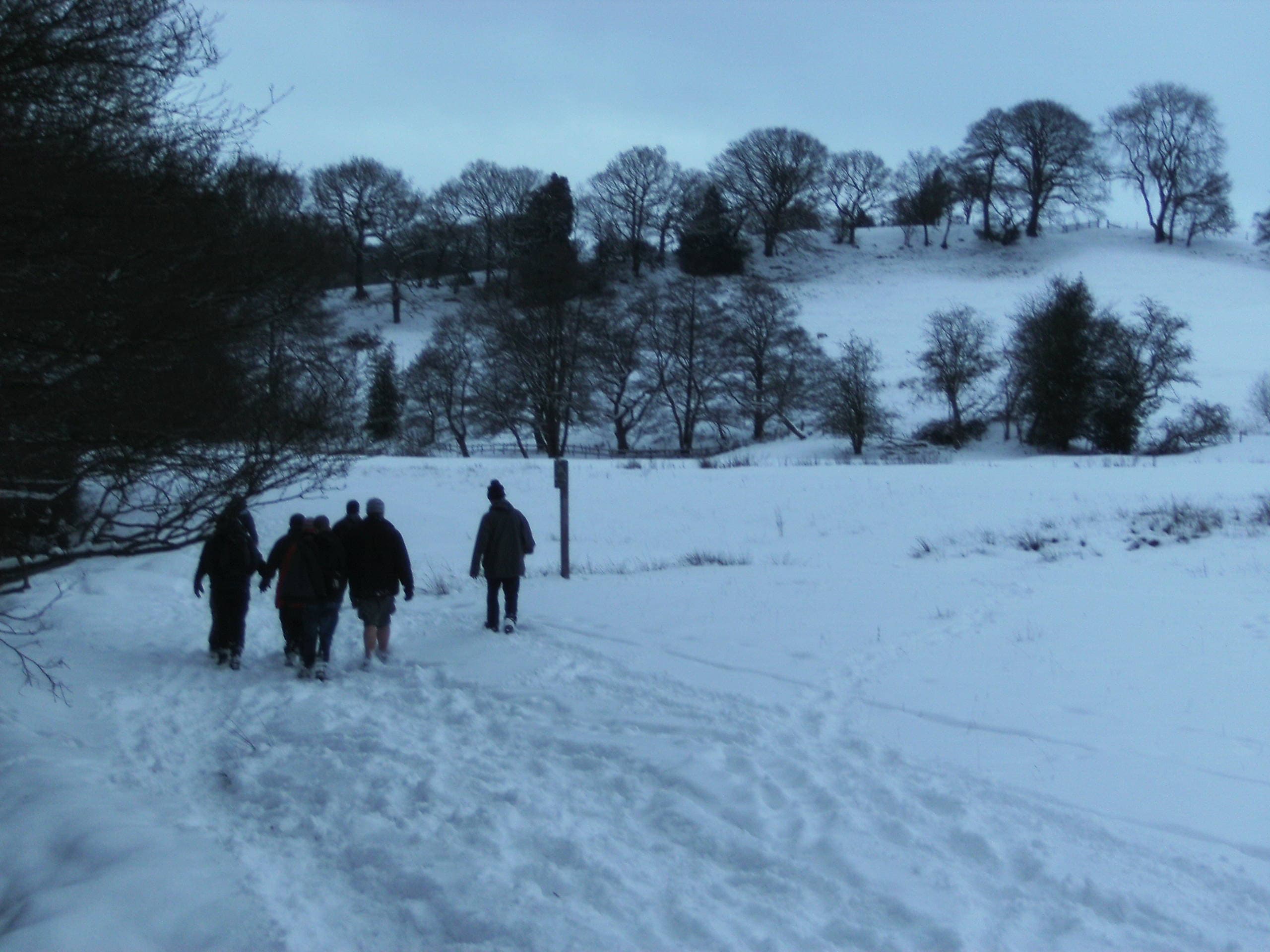 Rapid Review & Resettlement photo 1