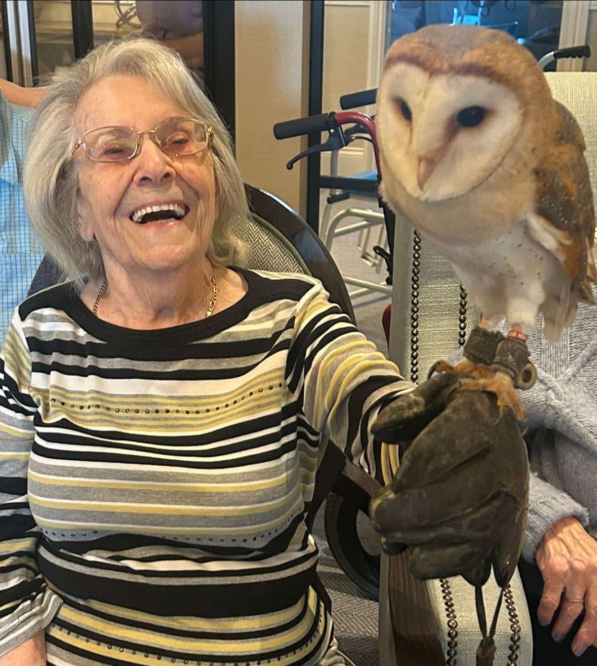 Haxby Hall Care Home photo 2