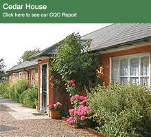 Essex Care Consortium - Plume Avenue