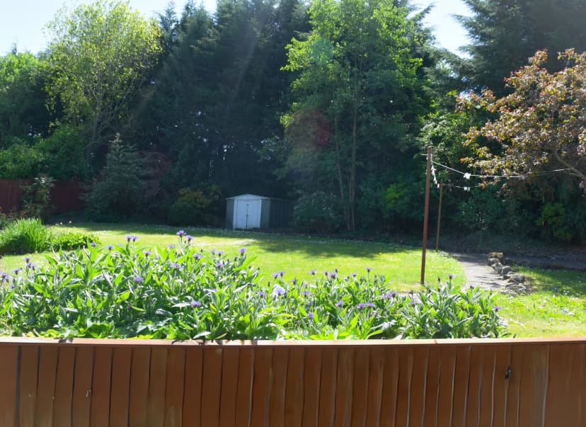Clyde Valley House care home