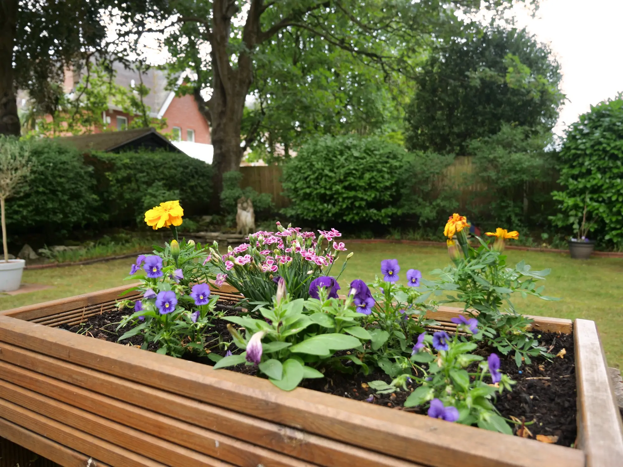 Garden at Chalgrove Care and Nursing Home