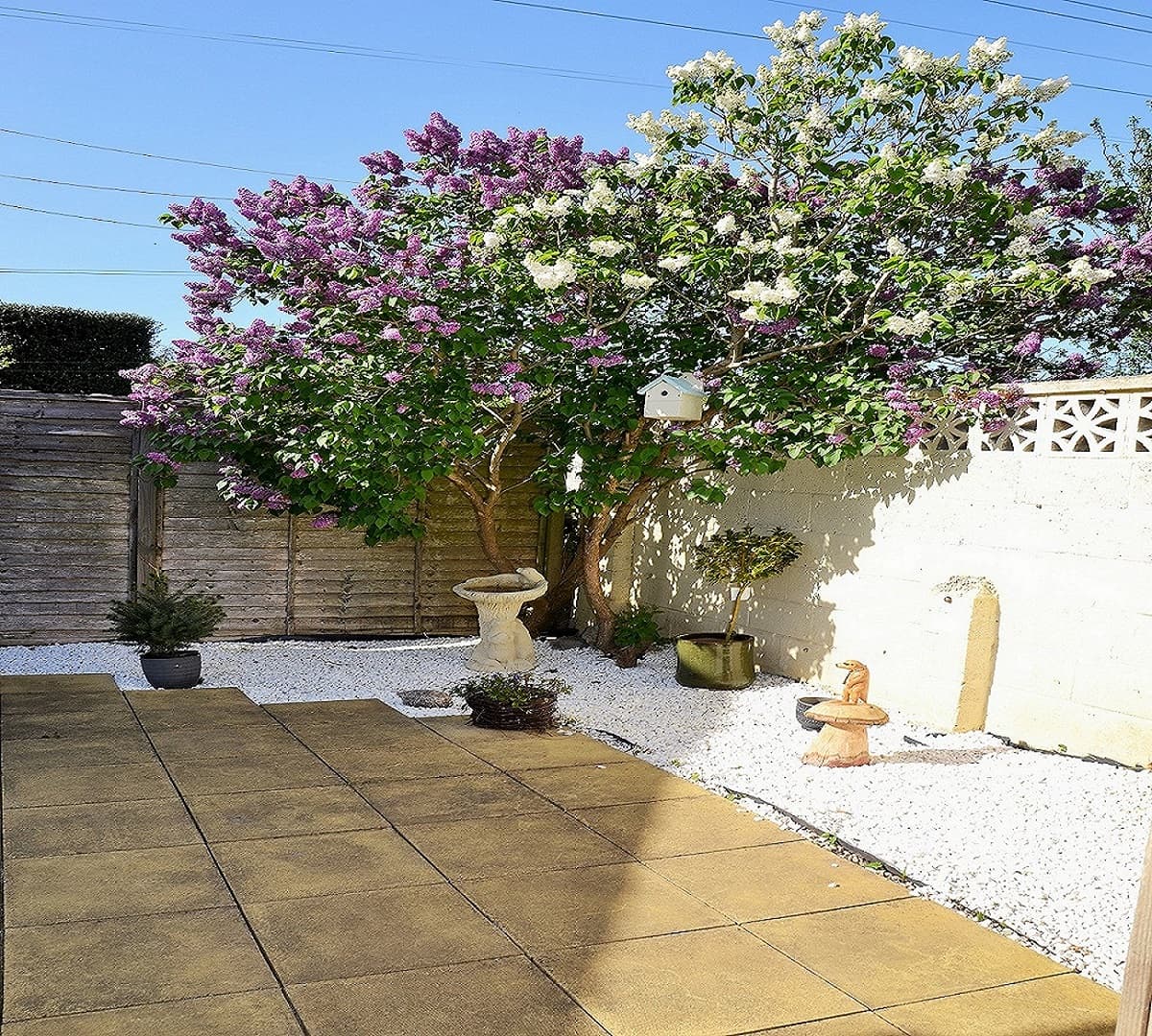 Garden at Ellenborough Court