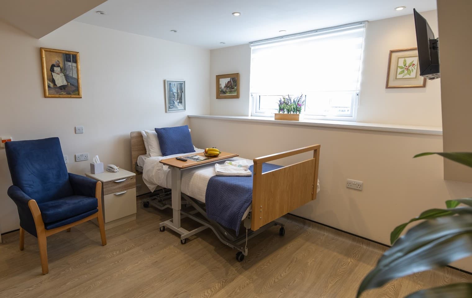 Bedroom at Springview