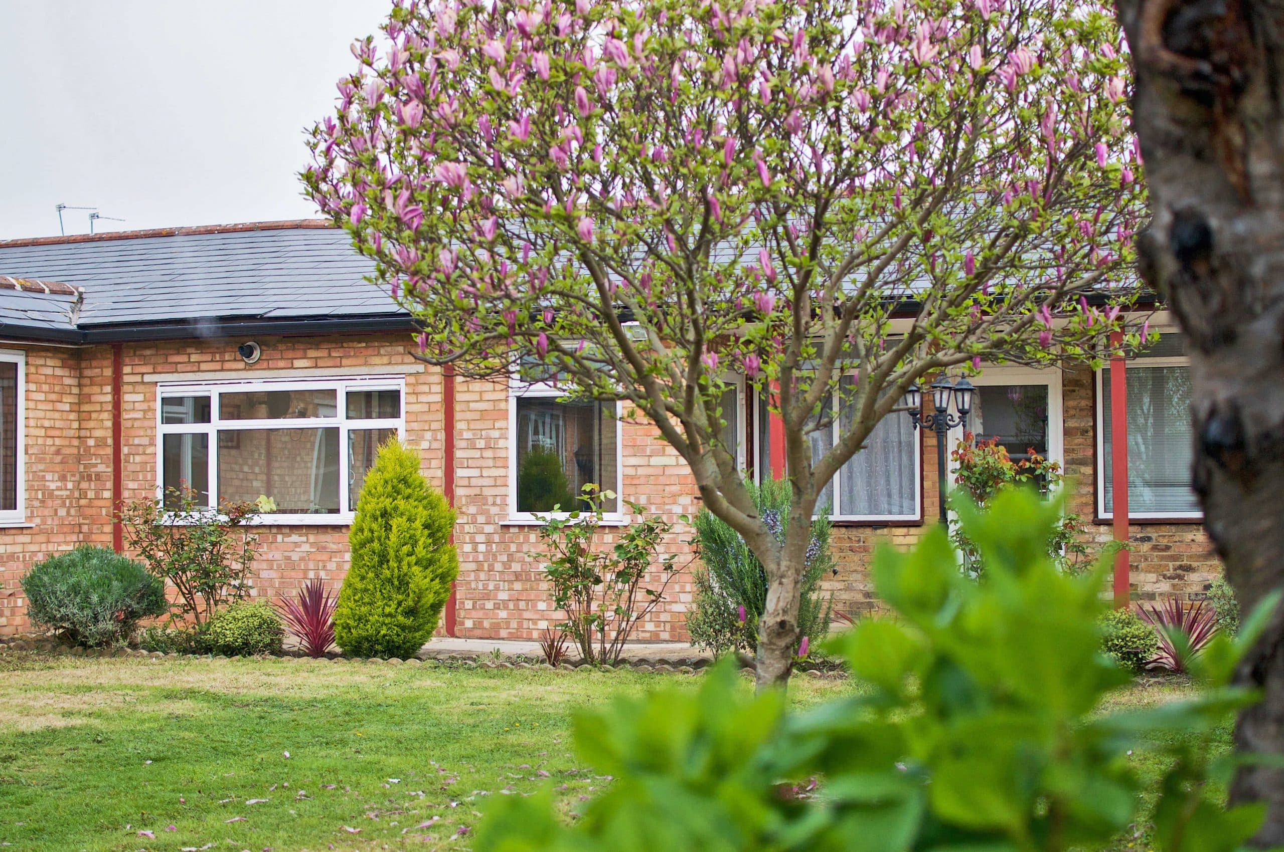 Exterior and garden at The Willows Nursing Home