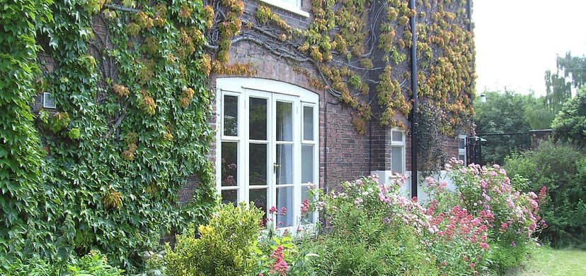 Care @ Rainbow's End