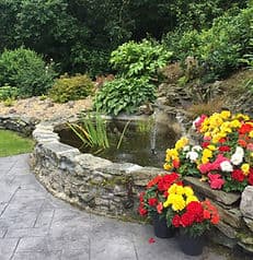 Hollow Oak Nursing Home Limited