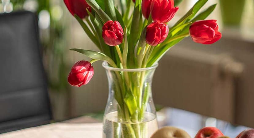 Symphony House Nursing Home