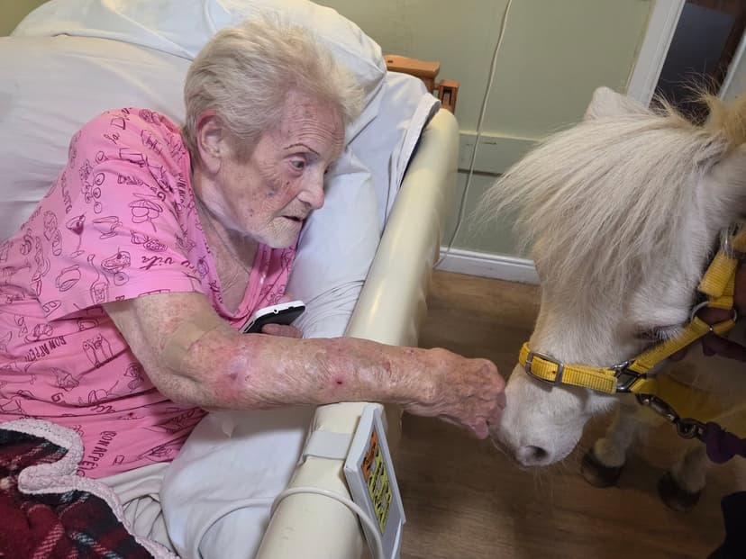 Hillview Care Home care home