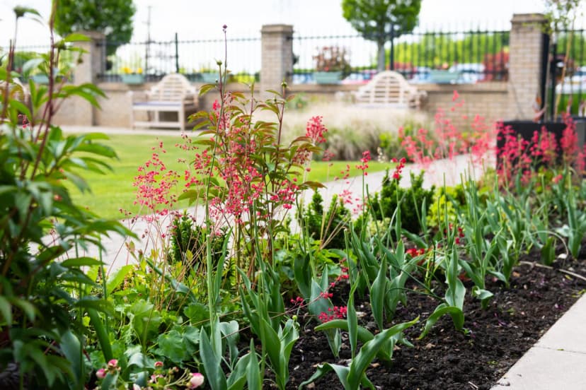 Wellington Vale Care Home