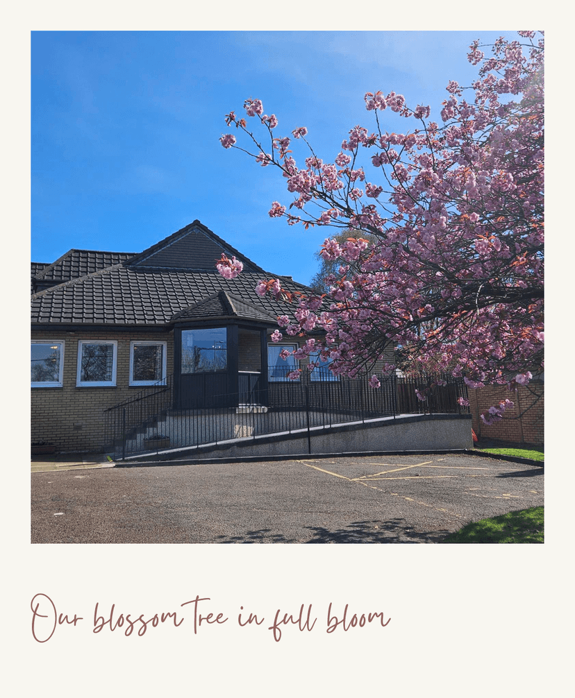 Clinton House Nursing Home care home