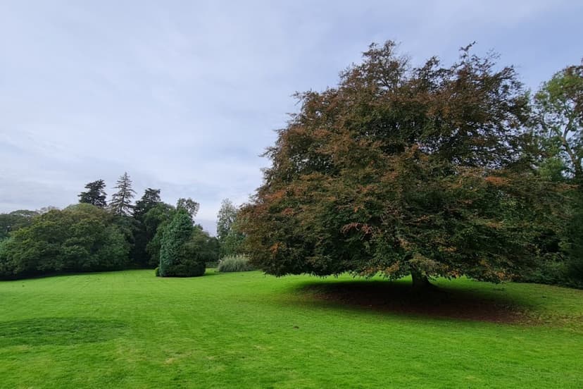 Oaktree Hall & Lodge