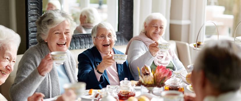 Laurels Lodge Care Home care home