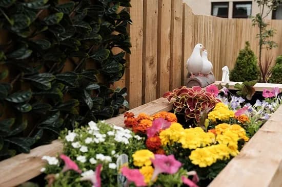 Muirfield Nursing Home care home