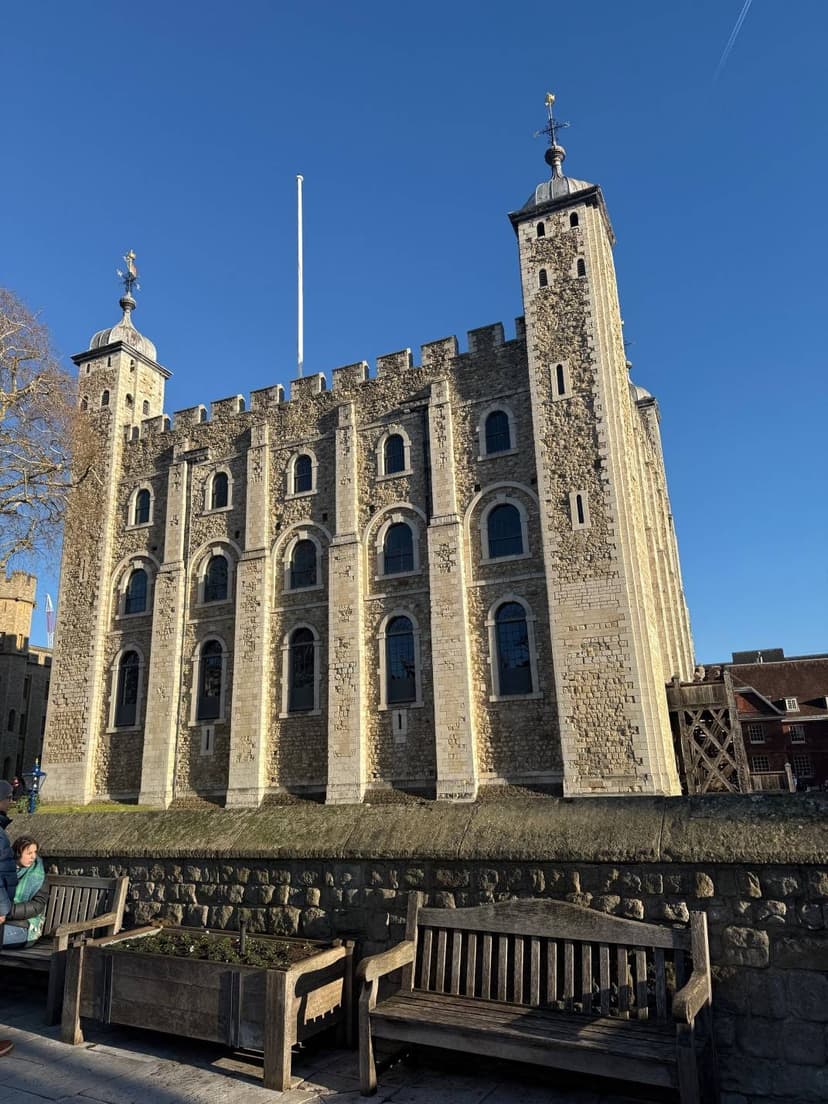 Shaftesbury Treetops